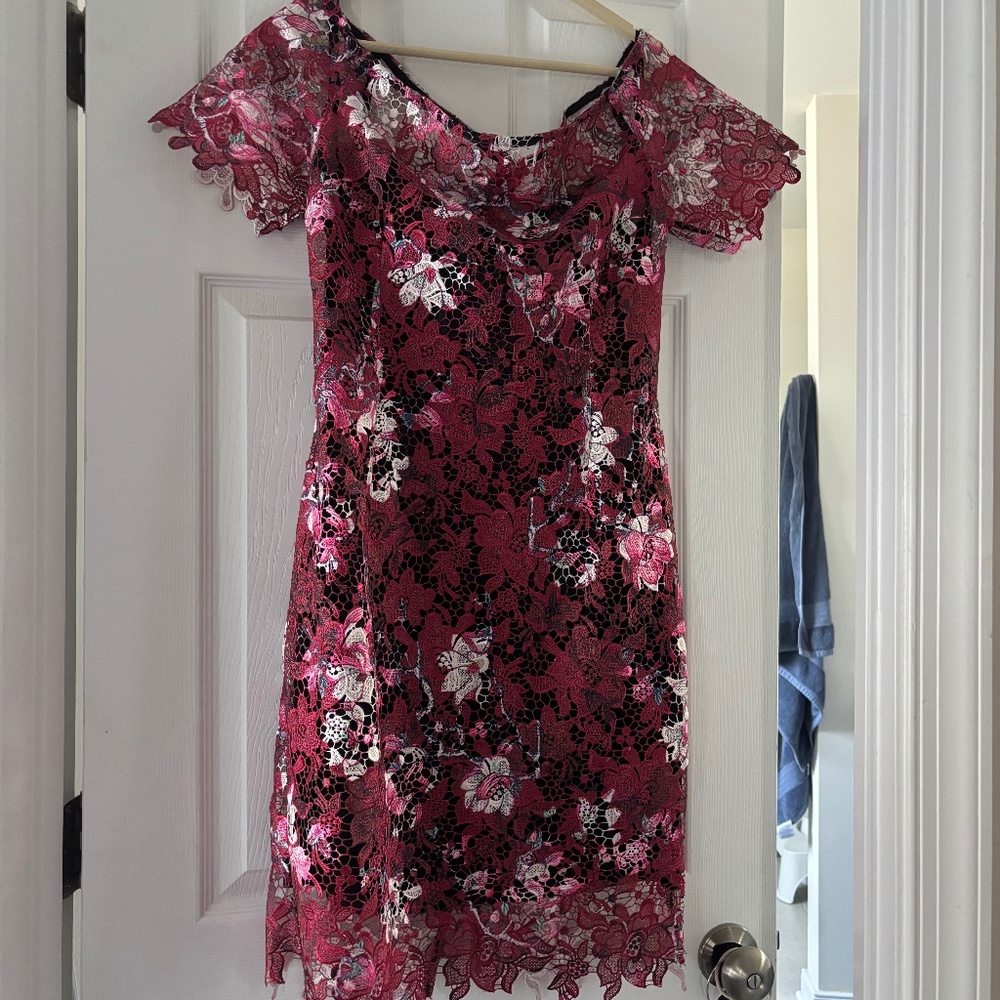 Paper Dolls London Petite US 10 Lace Sheath Dress / Garden Wedding Shower